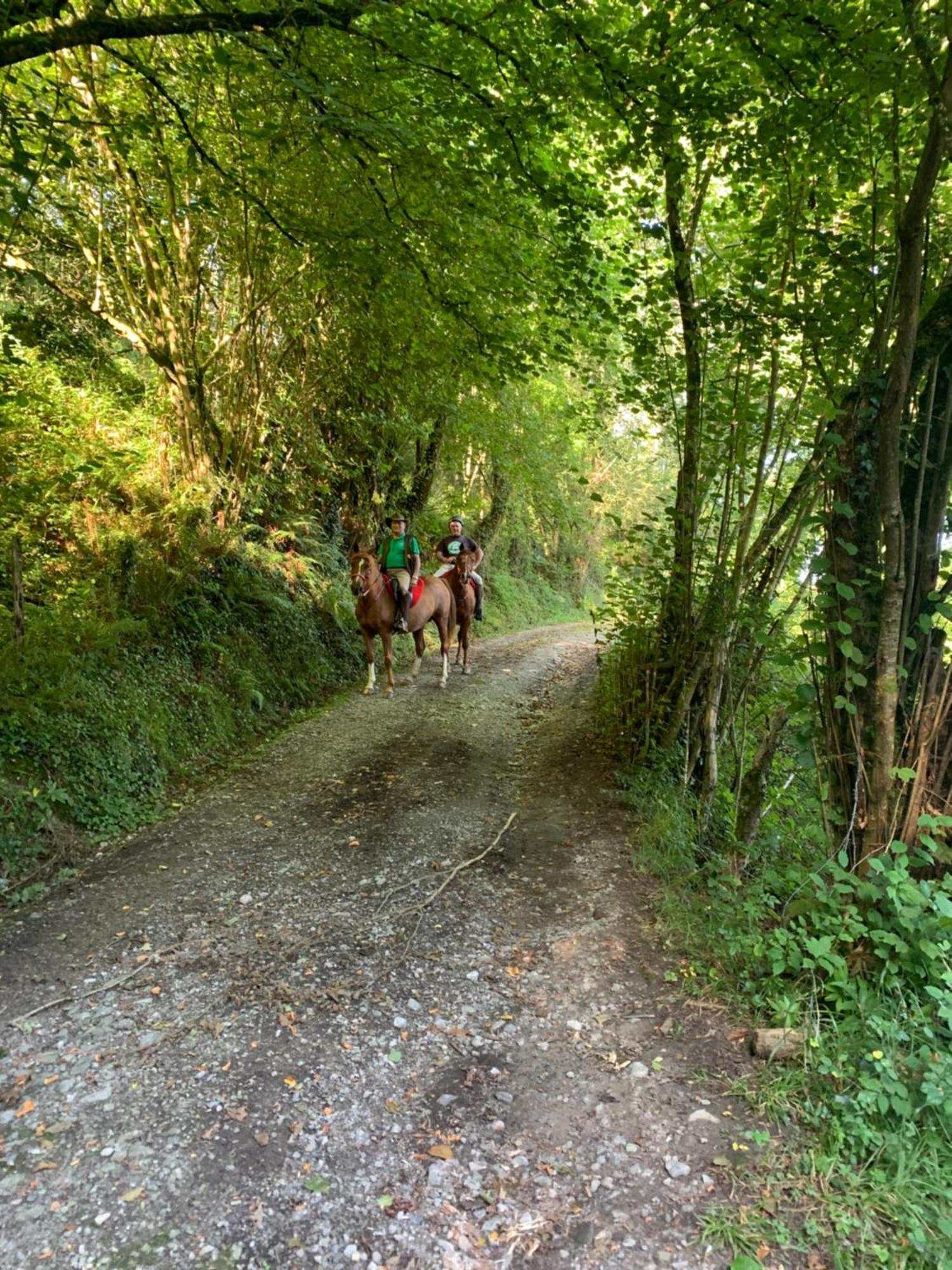 Agroturismo Gure Naia Carranza Exteriér fotografie